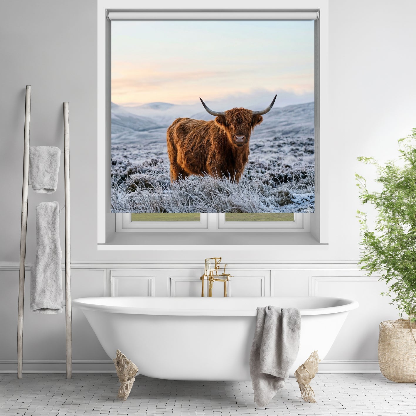 The Highland Cow Printed Picture Photo Roller Blind - RB1433