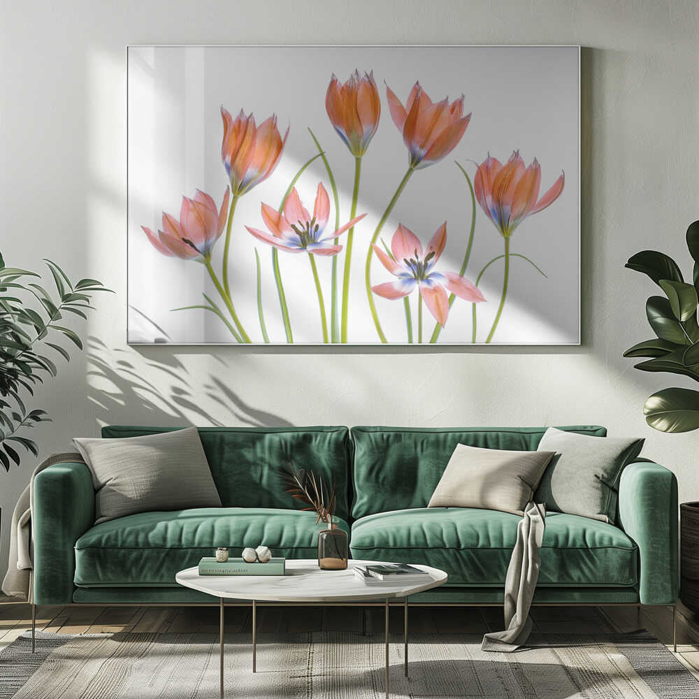 Apricot Tulips Canvas Print Wall Art 1X1325620 - ART FEVER - Art Fever