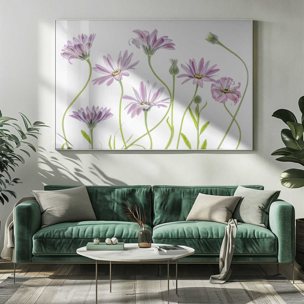 Cape Daisies Canvas Print Wall Art 1X1283281 - ART FEVER - Art Fever