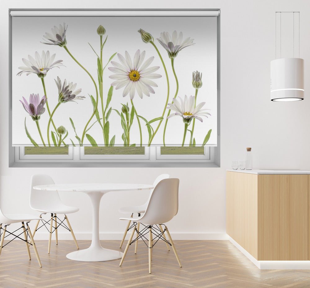 Cape Daisies Printed Picture Photo Roller Blind - 1X1136095 - Art Fever - Art Fever