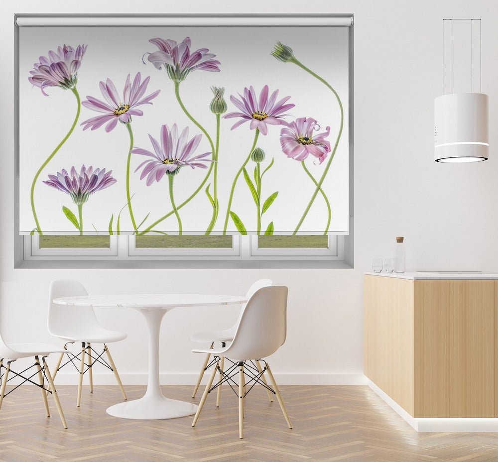 Cape Daisies Printed Picture Photo Roller Blind - 1X1283281 - Art Fever - Art Fever