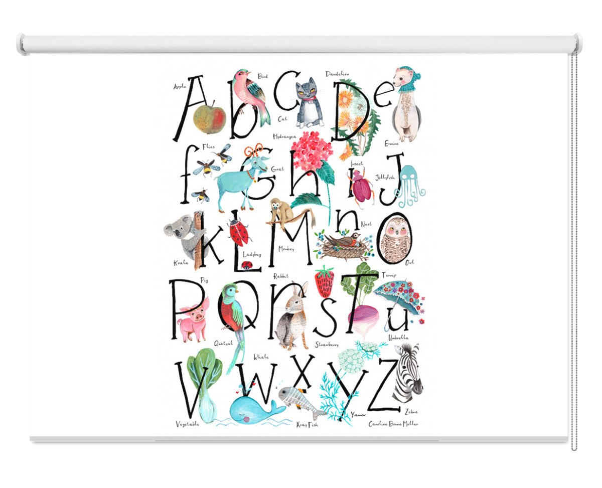 Children's Animal Alphabet Printed Picture Photo Roller Blind - 1X2664229 - Art Fever - Art Fever