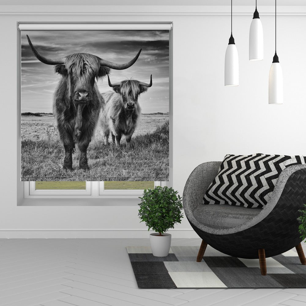 Highlands Printed Picture Photo Roller Blind - 1X1497623 - Art Fever - Art Fever