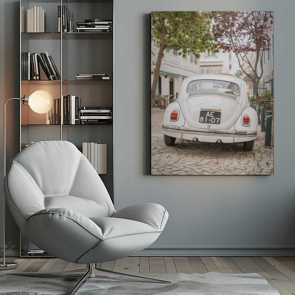 White Beetle on Cobblestone Canvas Print Wall Art 1X2711032
