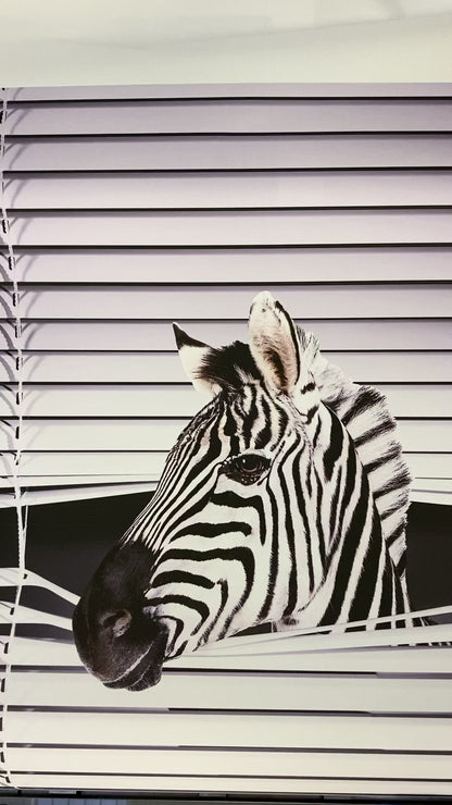 Zebra Peeking through the blind© Printed Picture Photo Roller Blind - RB226