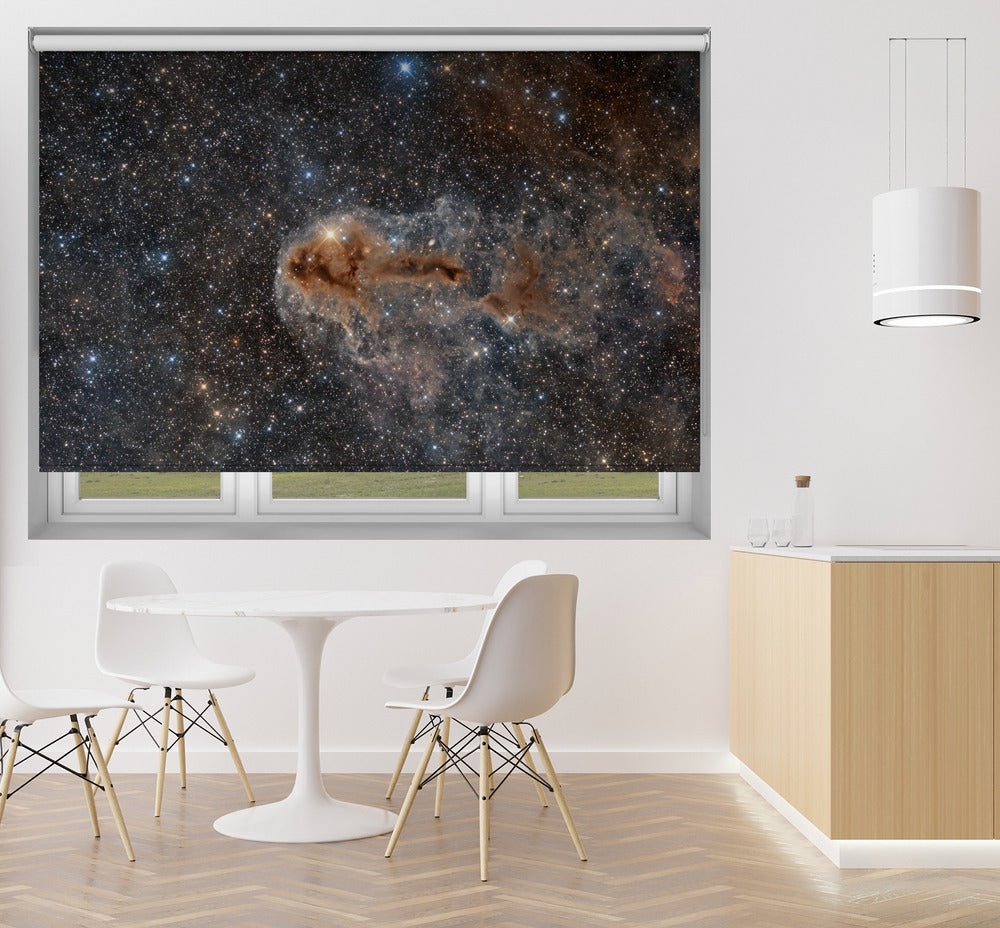 Rotten Fish Nebula Printed Picture Photo Roller Blind - 1X2318114 - Art Fever - Art Fever