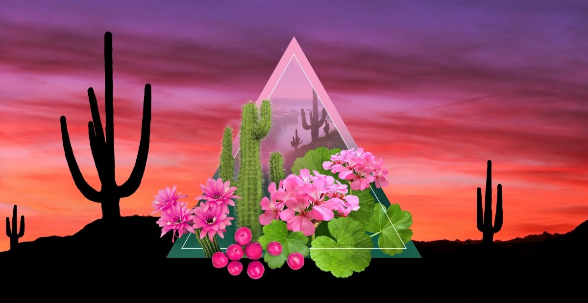 San Ignacio Lagoon Fragrance Oil - LORDS Fragrance House - Art Fever