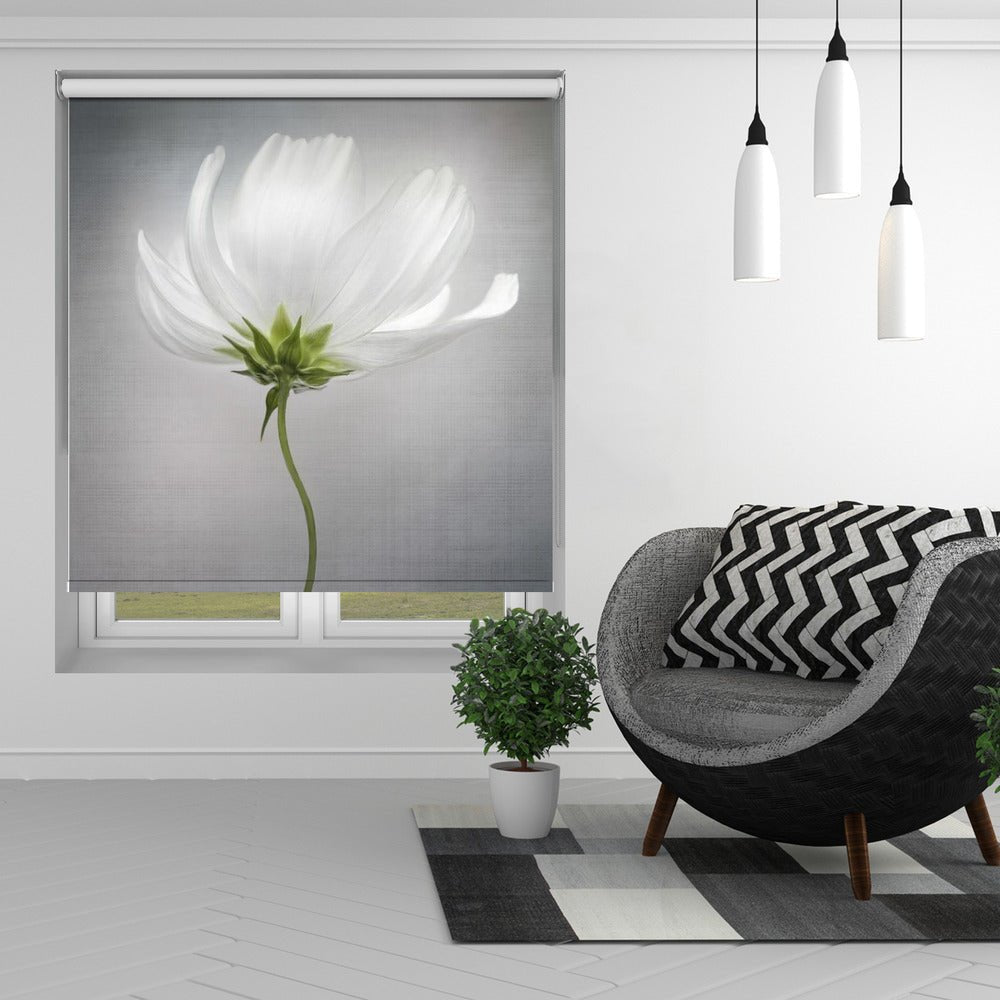 Still Life Cosmos *** Printed Picture Photo Roller Blind - 1X1597721 - Art Fever - Art Fever