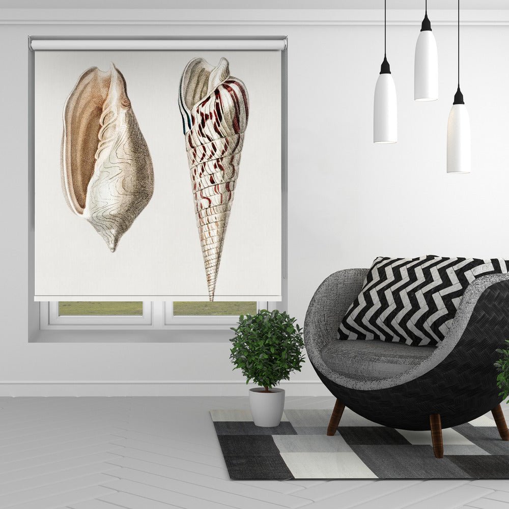 Two Mollusks Crop II Printed Picture Photo Roller Blind - 1X2664333 - Art Fever - Art Fever