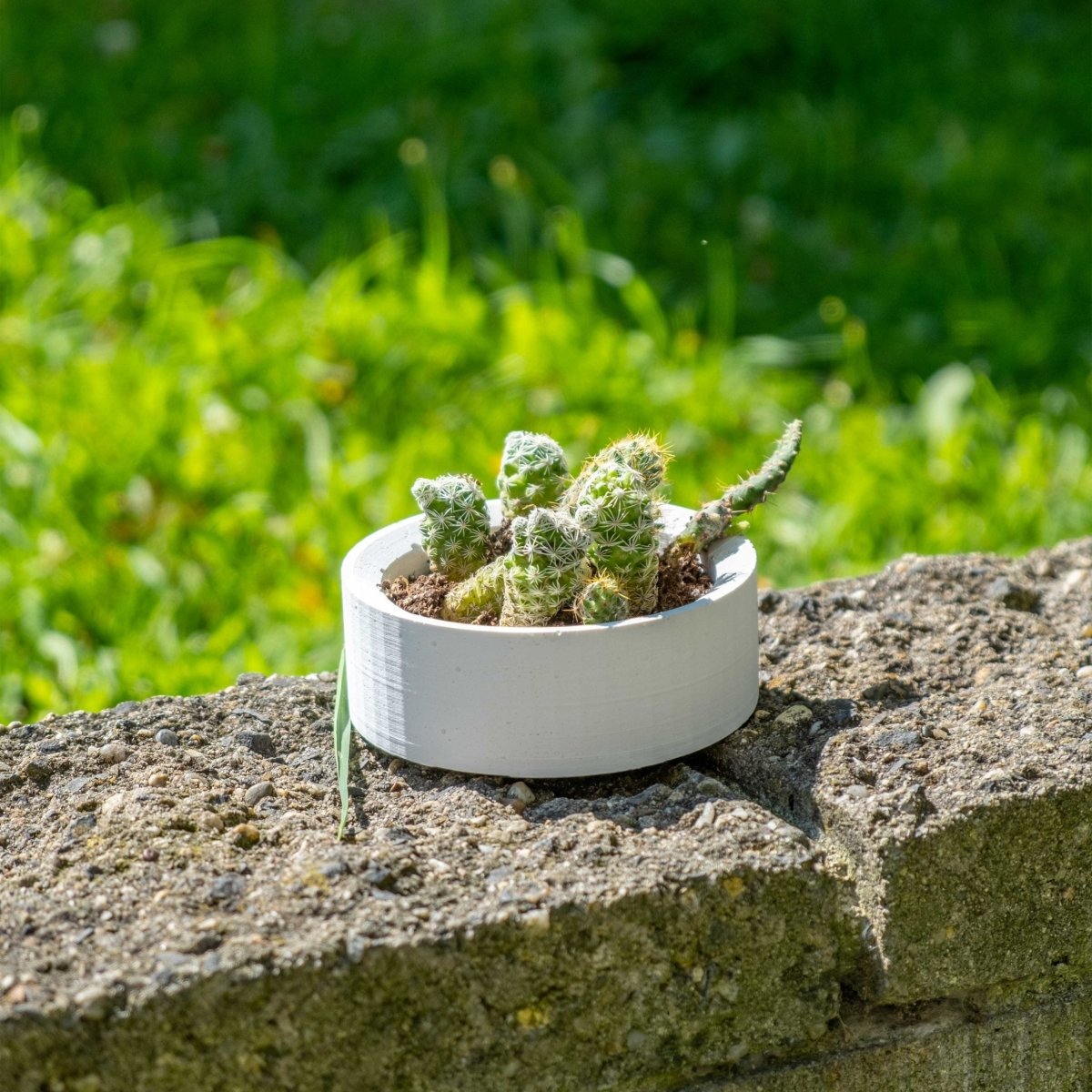 WHITE CONCRETE HANDLE POT - Gloria Home - Art Fever