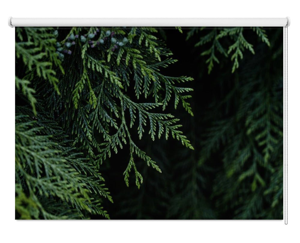 Winter Branches 3 Printed Picture Photo Roller Blind - 1X2819883 - Art Fever - Art Fever