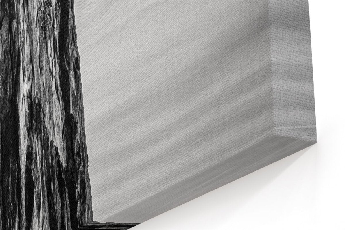 Balancing between Earth and Sky Canvas Print Wall Art - 1X1392967 - Art Fever - Art Fever