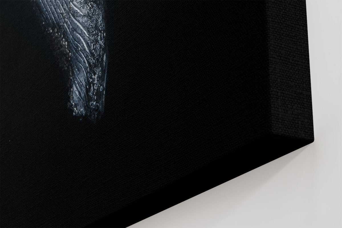 Black Whale Underwater Canvas Print Wall Art - 1X735926 - Art Fever - Art Fever