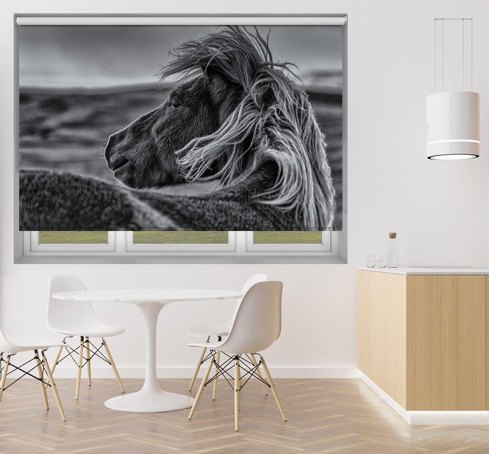 Black & White Horse Glance Back Printed Picture Photo Roller Blind - 1X1746781 - Pictufy - Art Fever