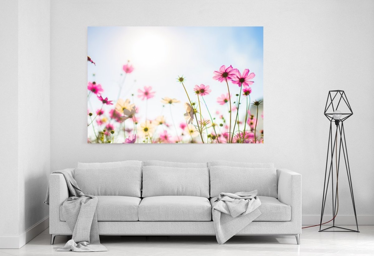 Cosmos Flowers In Bokeh Background Canvas Print Picture - SPC251 - Art Fever - Art Fever