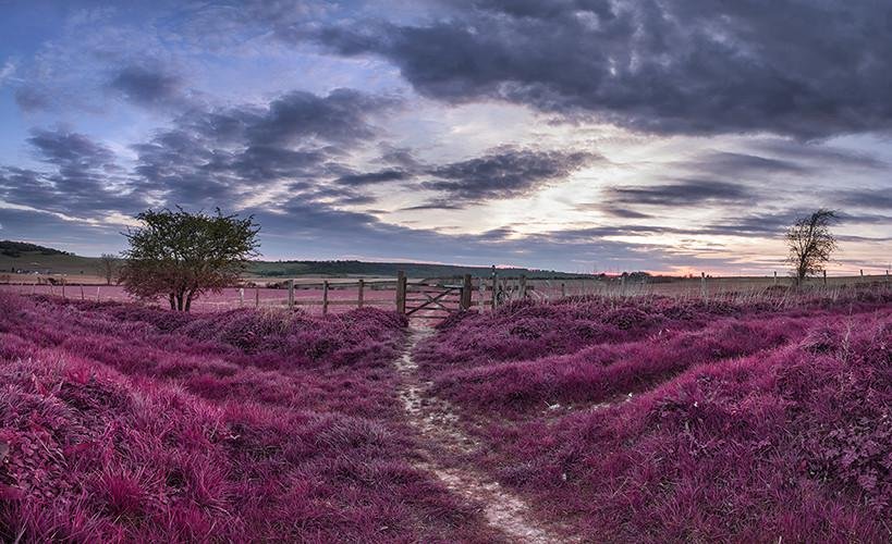 English Countryside Purple Landscape Printed Picture Photo Roller Blind - RB429 - Art Fever - Art Fever
