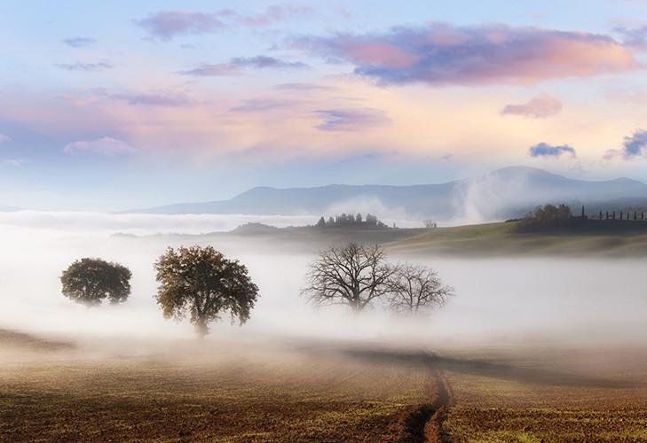 Fields of Tuscany Sunrise Printed Picture Photo Roller Blind - Art Fever - Art Fever