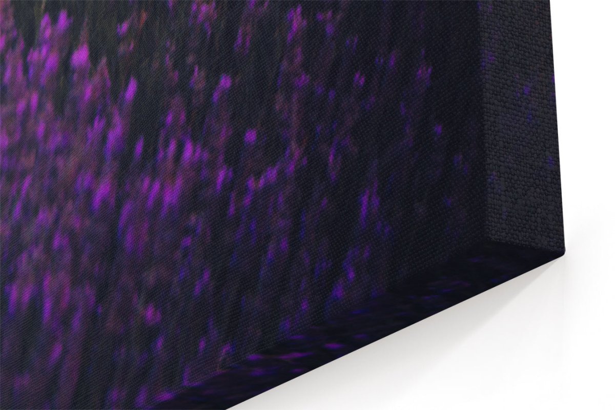 Lavender Fields, Isparta Canvas Print Wall Art - 1X1954277 - Art Fever - Art Fever