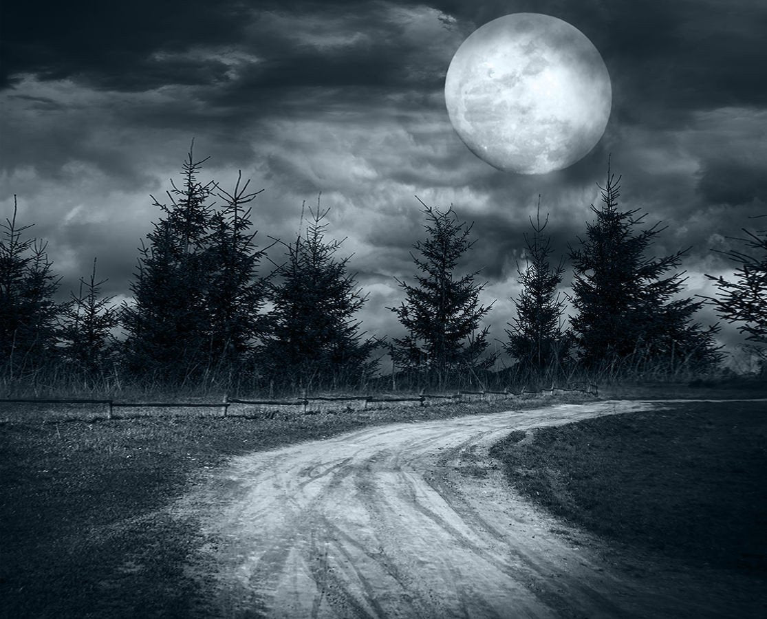 Magic landscape Forest with Full Moon Printed Picture Photo Roller Blind - RB509 - Art Fever - Art Fever