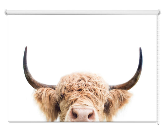 Peeking Highland Cow Printed Picture Photo Roller Blind - 1X2381995 - Art Fever - Art Fever