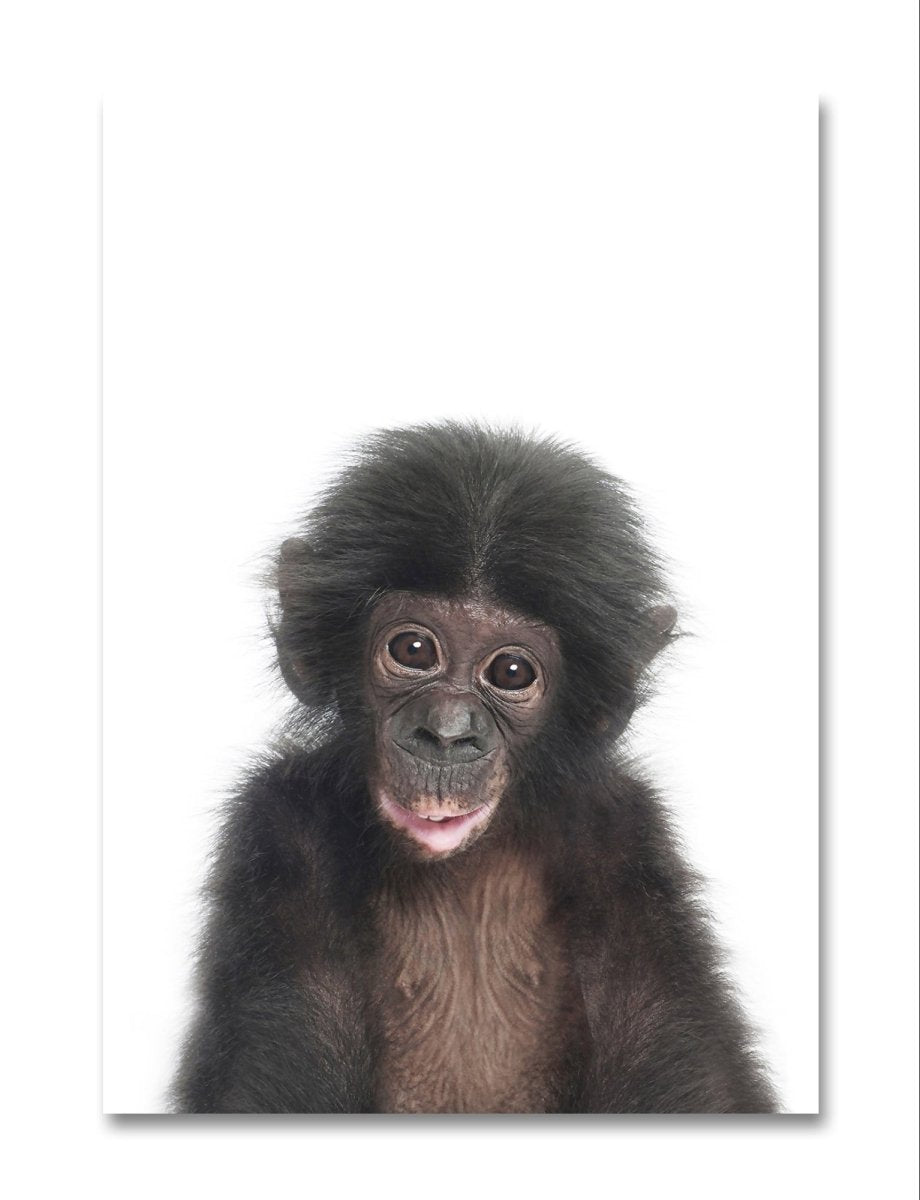 The Peeking Baby Monkey 🐵 Canvas Print Picture Wall Art - 1X2402471 - Art Fever - Art Fever
