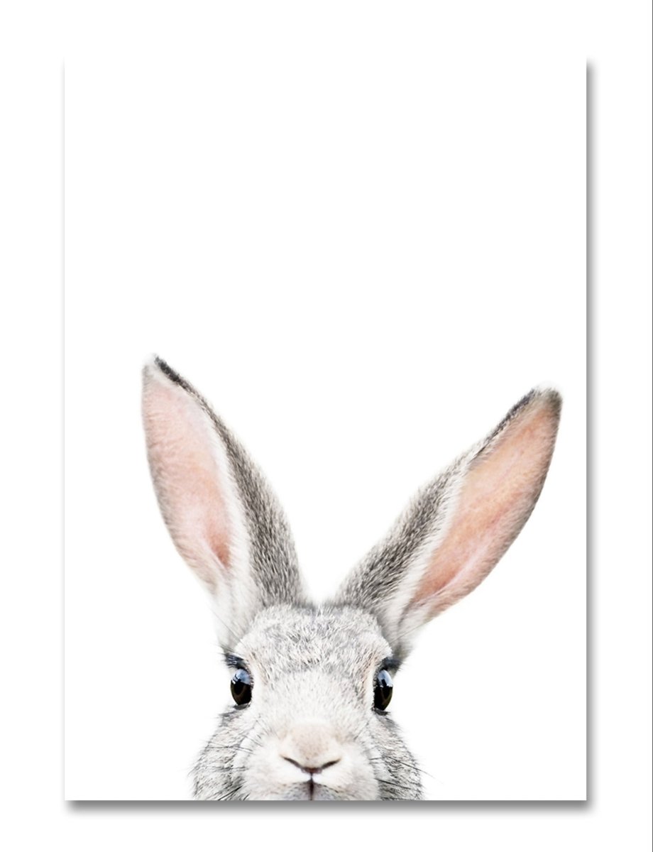 The Peeking Bunny Rabbit Canvas Print Picture Wall Art - 1X2381972 - Art Fever - Art Fever