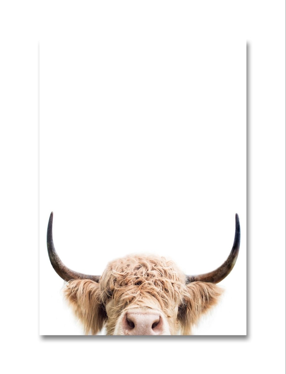 The Peeking Highland Cow Canvas Print Picture Wall Art - 1X 2381995 - Art Fever - Art Fever