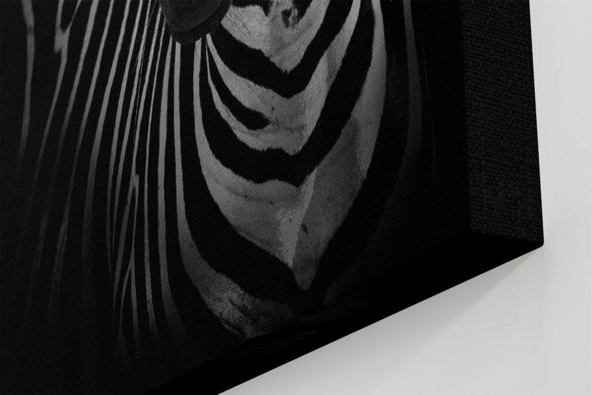 The Zebra Canvas Print Wall Art - 1X1487549 - Art Fever - Art Fever