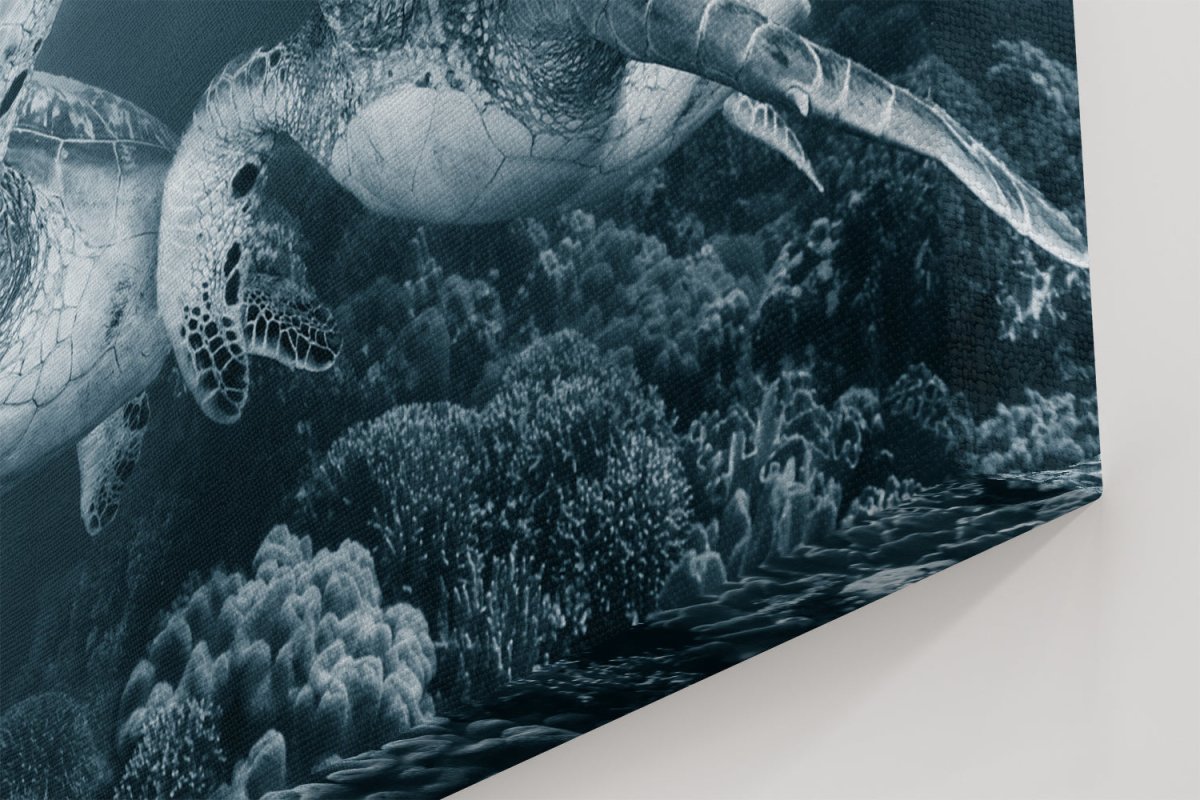 Twin dance Underwater Turtle Canvas Print Wall Art - 1X53696 - Art Fever - Art Fever