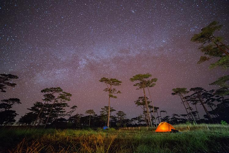 Under the Night Stars and Milky Way Printed Picture Photo Roller Blind - Art Fever - Art Fever