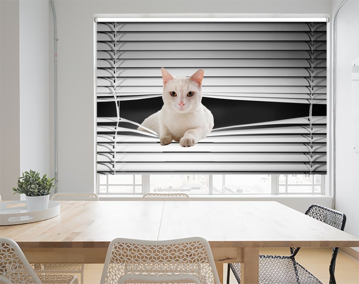 White Cat Peeking through the blind Printed Picture Photo Roller Blind - RB1133 - Art Fever - Art Fever