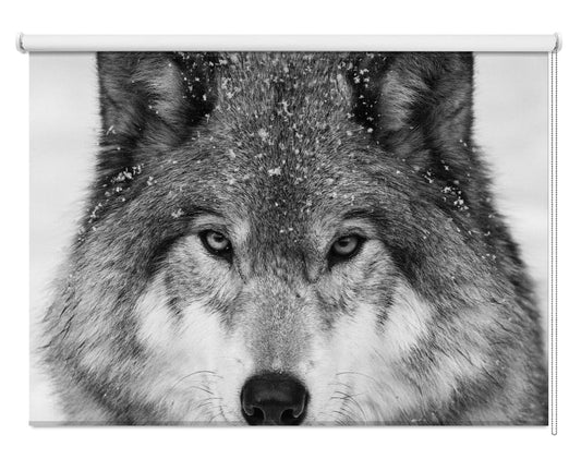 Wolf PortraitPrinted Picture Photo Roller Blind - 1X2183346 - Pictufy - Art Fever