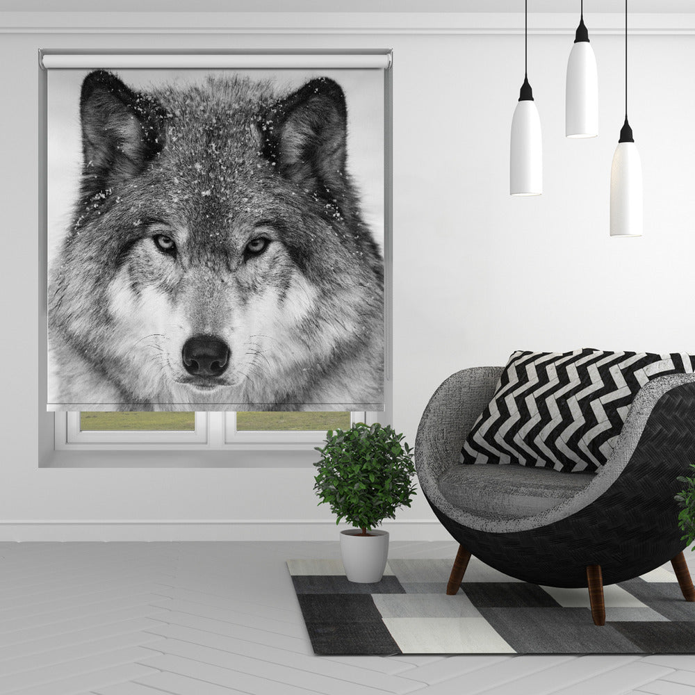 Wolf PortraitPrinted Picture Photo Roller Blind - 1X2183346 - Pictufy - Art Fever