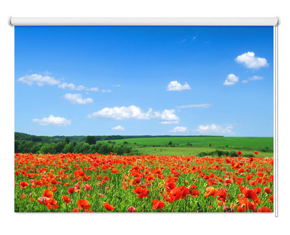 Poppies and the Blue Sky Printed Picture Photo Roller Blind - RB410