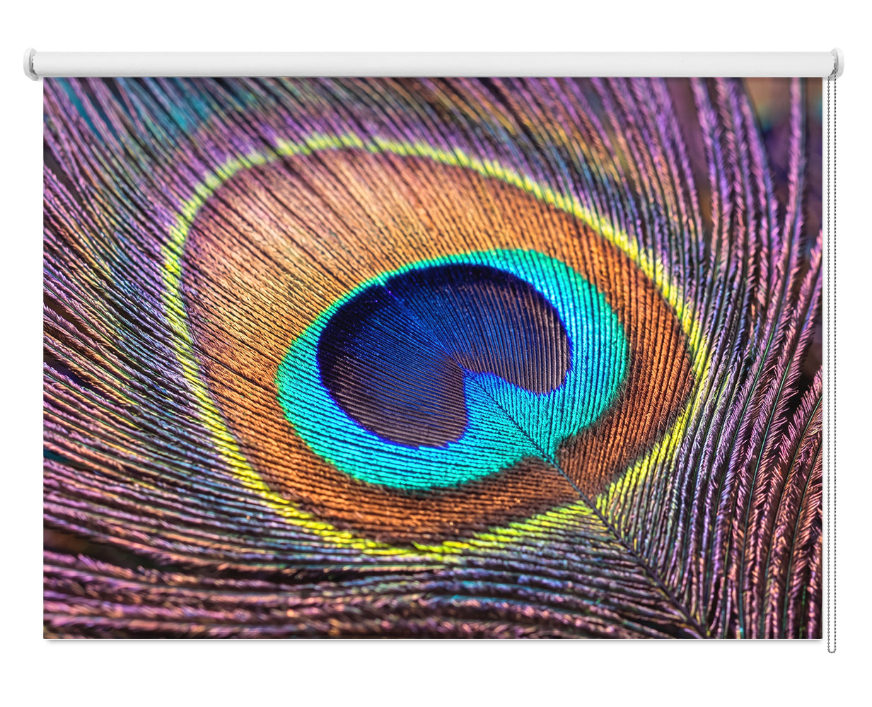 Peacock Feathers Pattern Printed Picture Photo Roller Blind - RB624