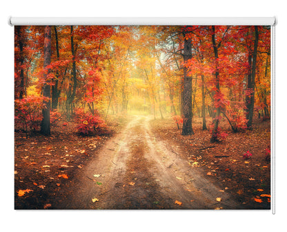 Autumn Fall Scene Image Printed Roller Blind - RB833
