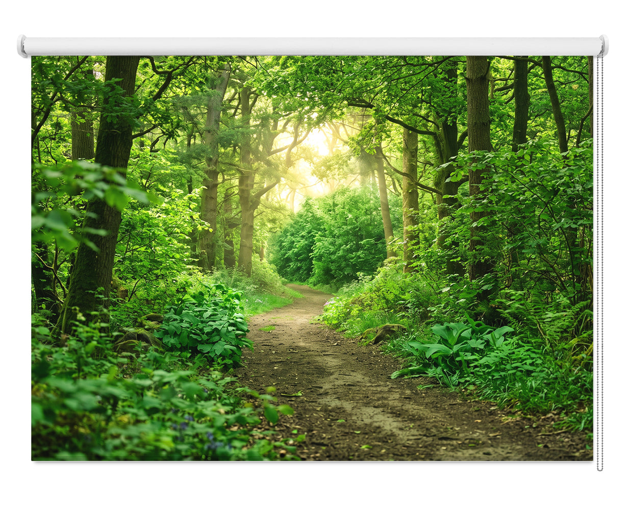 Green woodland forest scene Printed Picture Photo Roller Blind - RB671