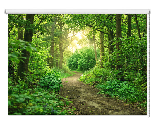 Green woodland forest scene Printed Picture Photo Roller Blind - RB671