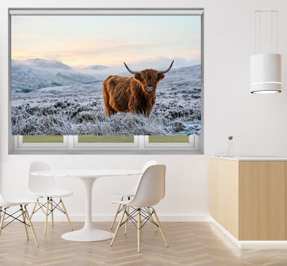 The Highland Cow Printed Picture Photo Roller Blind - RB1433