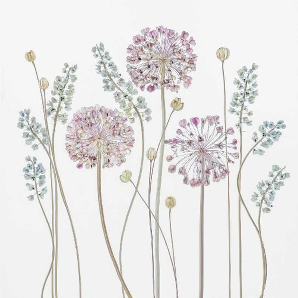 Allium Flowers Canvas Print Wall Art 1X1446208 - ART FEVER - Art Fever