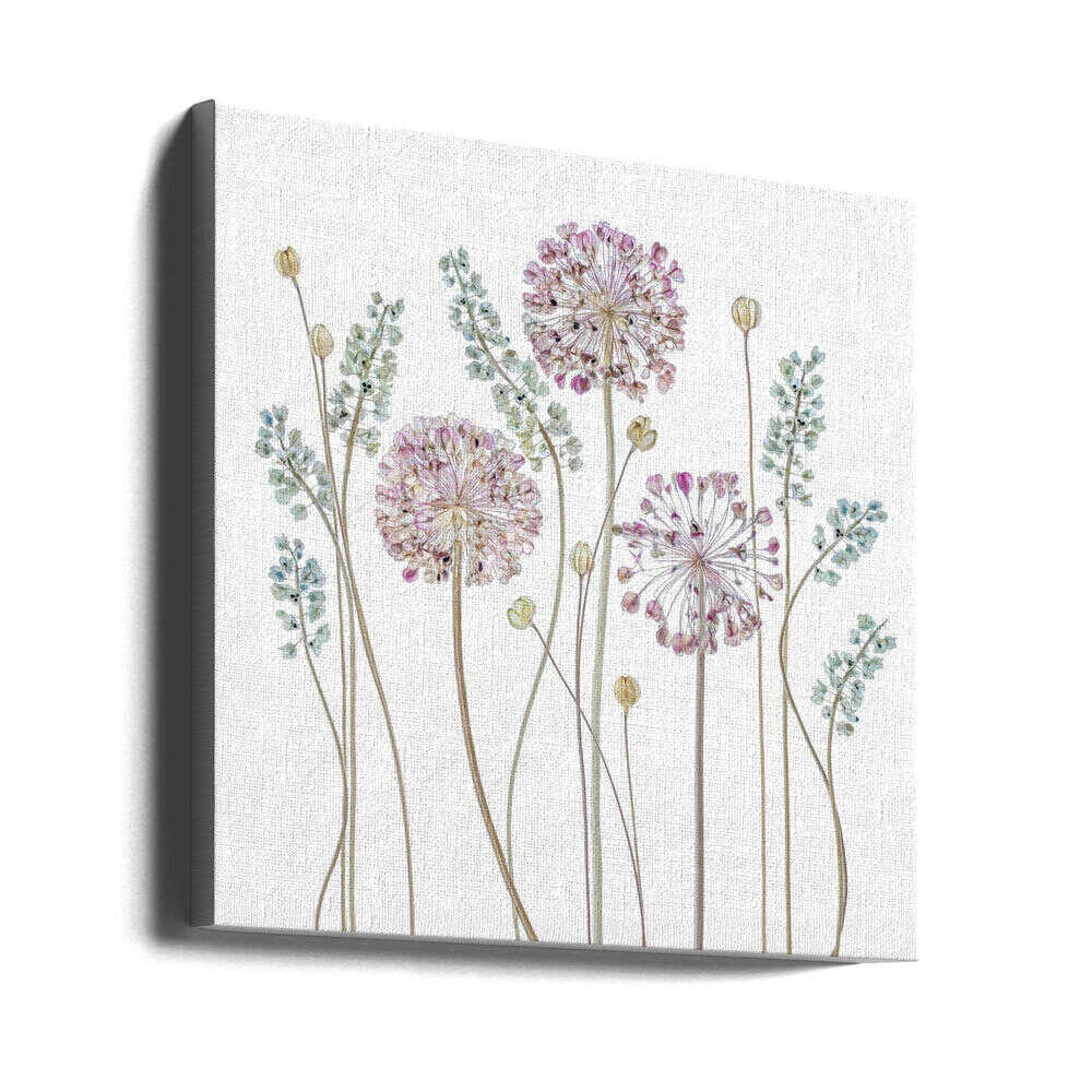 Allium Flowers Canvas Print Wall Art 1X1446208 - ART FEVER - Art Fever