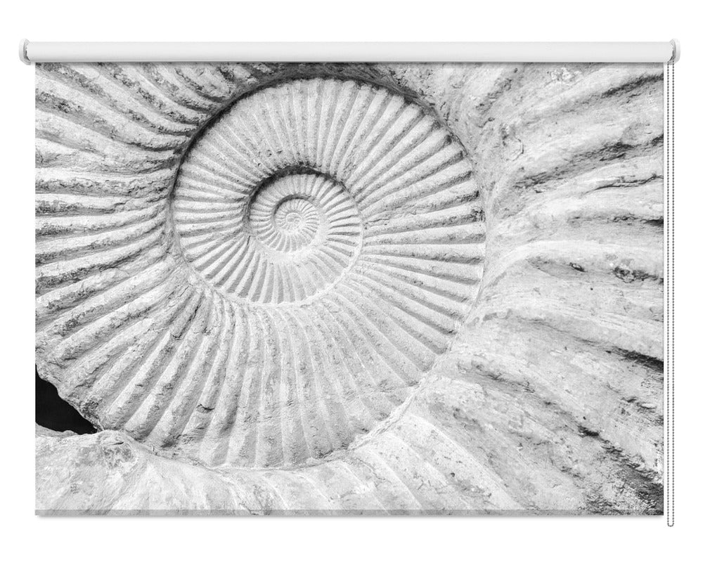 Ancient Spiral Dreams Printed Picture Photo Roller Blind - 1X2518561 - Art Fever - Art Fever