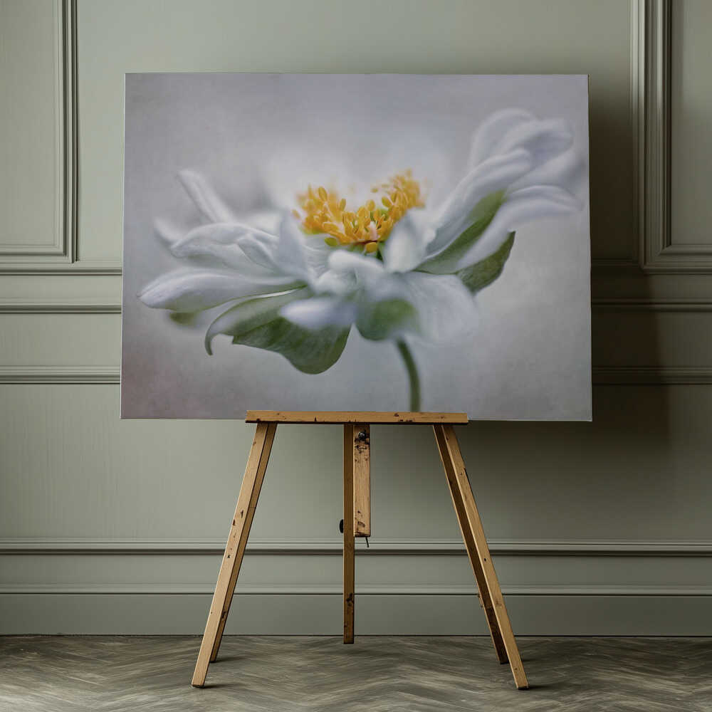 Anemone Floral Art Canvas Print Wall Art 1X1553404 - ART FEVER - Art Fever