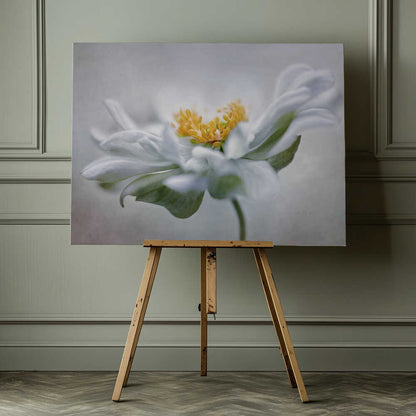 Anemone Floral Art Canvas Print Wall Art 1X1553404 - ART FEVER - Art Fever