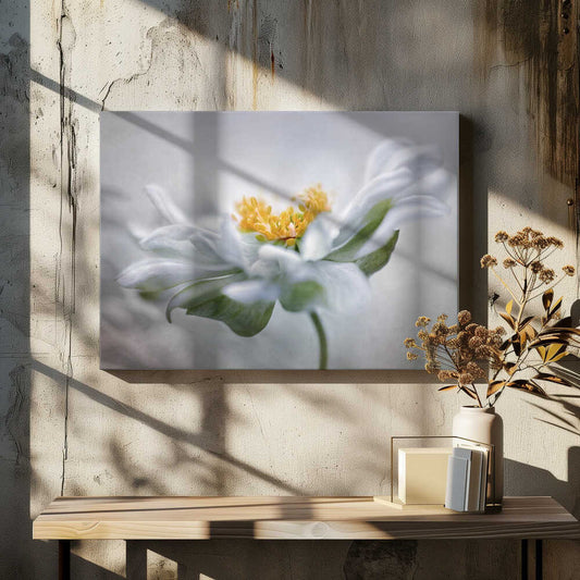 Anemone Floral Art Canvas Print Wall Art 1X1553404 - ART FEVER - Art Fever