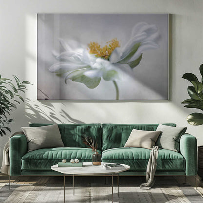 Anemone Floral Art Canvas Print Wall Art 1X1553404 - ART FEVER - Art Fever