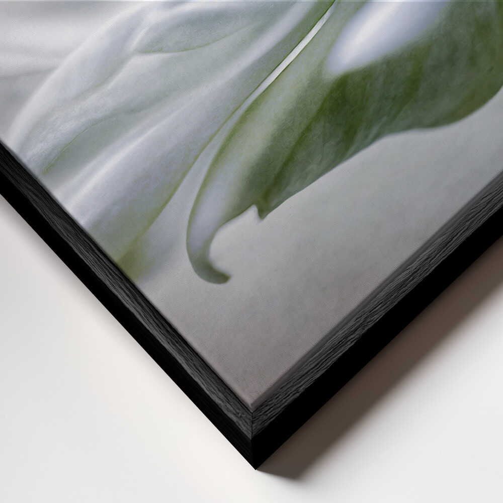 Anemone Floral Art Canvas Print Wall Art 1X1553404 - ART FEVER - Art Fever