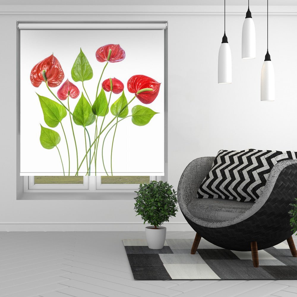 Anthurium Printed Picture Photo Roller Blind - 1X1504894 - Art Fever - Art Fever