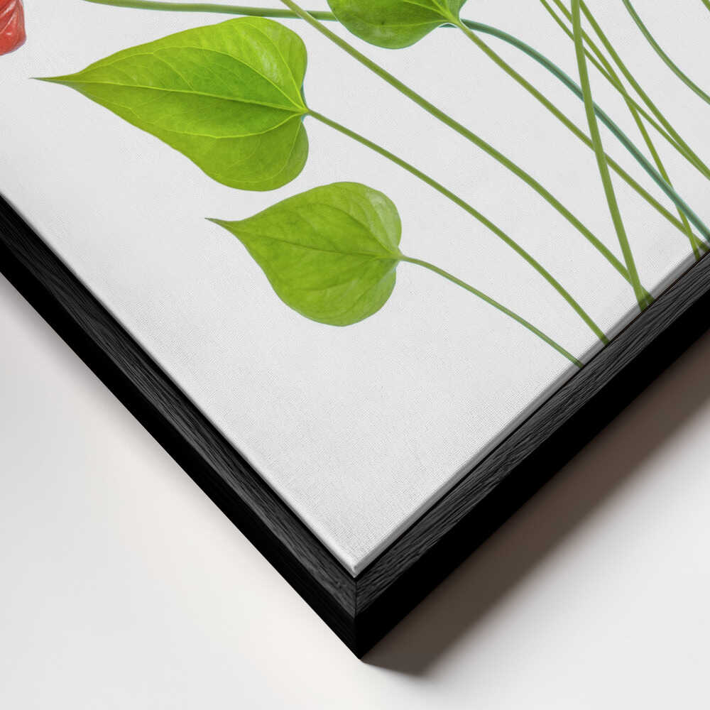 Anthurium Red Floral Canvas Print Wall Art 1X1504894 - ART FEVER - Art Fever