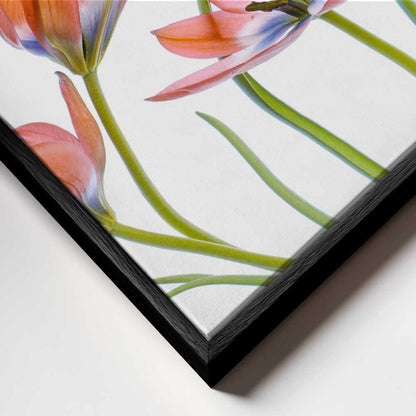 Apricot Tulips Canvas Print Wall Art 1X1325620 - ART FEVER - Art Fever